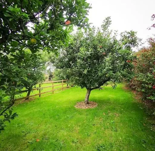 Orchard * דינגל